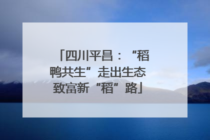 四川平昌：“稻鸭共生”走出生态致富新“稻”路